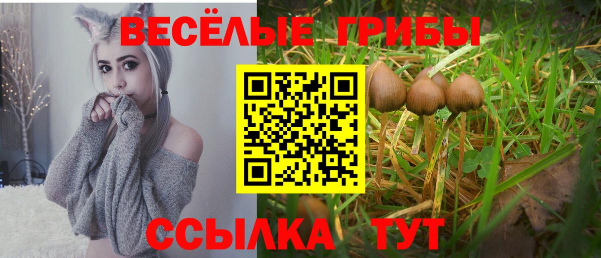 Дивногорск  Галлюциногенные грибы мухоморы  Галлюциногенные грибы ЛСД  Вход с VPN 